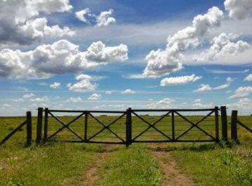 Campo · 900000m² · Campo de 90 Ha en General Madariaga