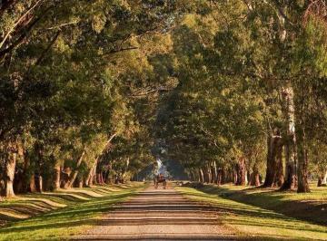 Terreno · 1387m² · Lote de 1300 m² en Venta en Estancia Villa María. Ezeiza - Cañuelas.
