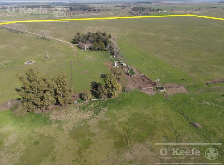 Campo · 120m² · 4 Ambientes