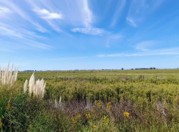 Campo · 1100000ha · Campo en Saladillo