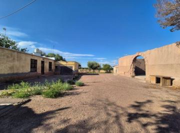Fondo de comercio de 7 ambientes, Maipú · Venta Finca + Casa Maipú Julio a Roca Mendoza