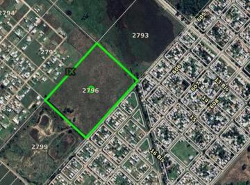 Campo · 92001m² · Campo en Venta - 92.001 m² - Villa Elvira