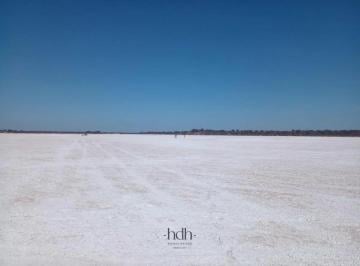 Campo · 240000000ha · Campo de 24000 Ha en Cruz del Eje Salinas de Córdoba Apto Ganadería y Explotación de Sales