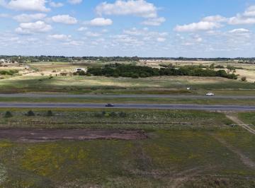 Campo · 6m² · Chacra en Venta 6 Has Gral. Madariaga