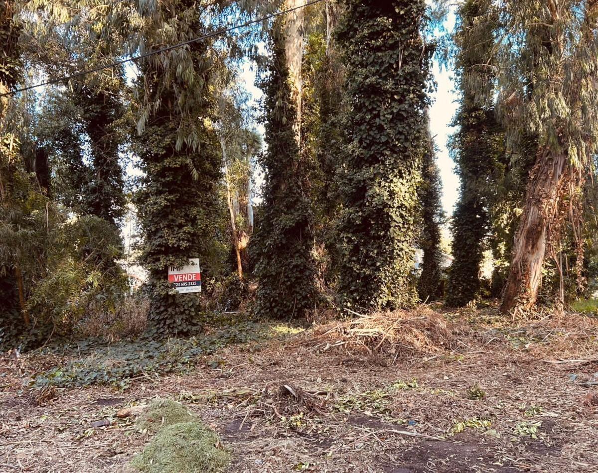 Venta excelente lote de terreno en el corazon del bosque peralta ramos