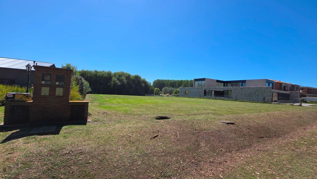Lote en venta 1667m² en Rumenco, Sector Los Sauces