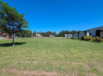 Terreno · 1m² · En Venta Lote en Rumenco Joven. Superficie 786 m²