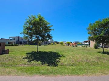 Terreno · 1m² · En Venta Lote en Rumenco Joven. Superficie 601 m²