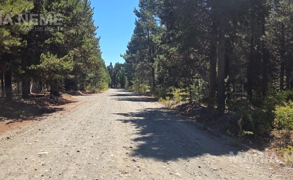 Hectarea a la Venta en Barrio Las Chacras, San Carlos de Bariloche, Río Negro