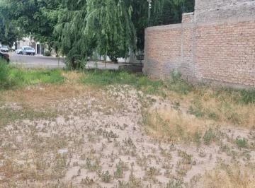 Terreno , Carrodilla · Oportunidad Terreno en Carrodilla