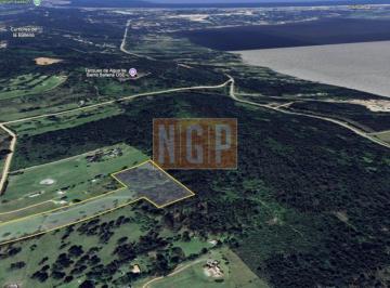 Foto1 · Campo de 5 Has con 4658 m² en La Pataia