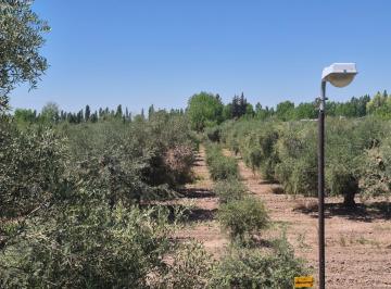 INA-INA-52_2 · Finca en Venta, Russell, Maipú