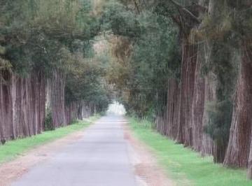 Terreno · 595m² · Terreno en Venta - 595 m² - Abasto, La Plata