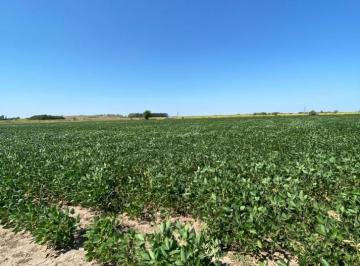 Campo · 425000m² · 1 Dormitorio · Campo de 42,5 Ha Agricolas en San Nicolas