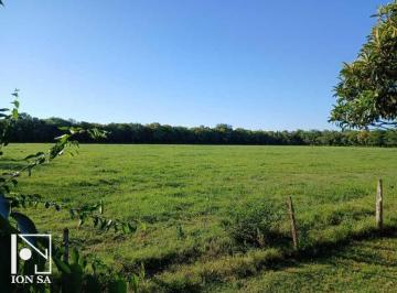 Campo · Venta 3 Hectáreas de Campo