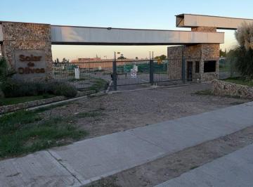 Terreno , Maipú · Barrio Solar de Olivos, Lote Esquina.