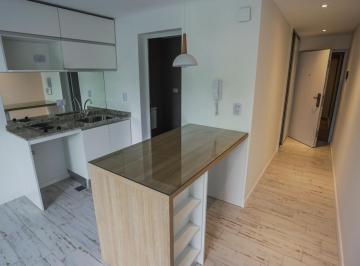Departamento · 29m² · 1 Ambiente · Venta - Monoambiente con Balcón - Echesortu
