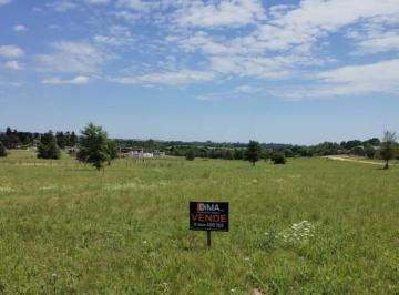 Terreno · 1034m² · Venta de Lote de 1.034 m² - Pampa de Los Vascos