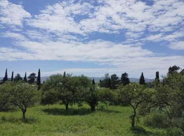 Terreno · 1004m² · Venta de Lote 1.004 m² - Pampa de Los Vascos