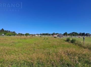 Terreno · 1500m² · Venta Lote Terreno 1500 m² con Mejoras Parque Robles, Exaltacion de La Cruz