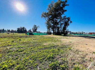 Terreno · 517m² · Terreno - Santa Sofía