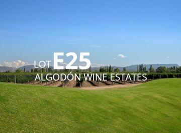 Terreno · 4730m² · Lote E - 25 en Algodon Wine Estates | 4730.26 m² | Golf