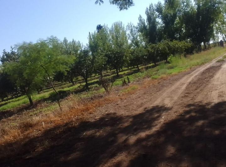 Casa en General Alvear