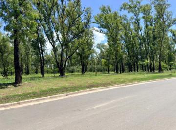 Terreno · 250m² · Oportunidad de Inversión Lote en Nuevo Malagueño