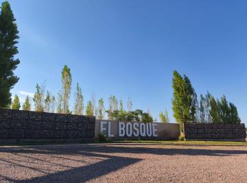 Terreno , Rodeo del Medio · Vórtice Inmobiliaria Vende Lote en B° Privado El Bosque, Rodeo del Medio, Maipú, Mendoza