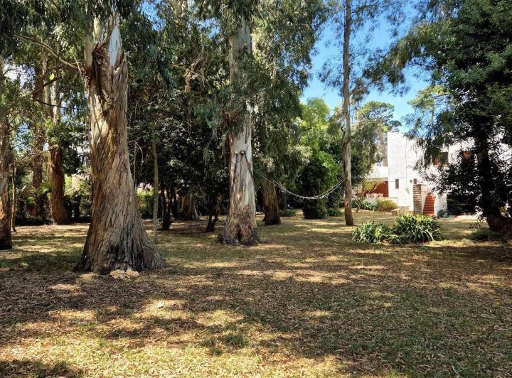 Terreno · 450m²