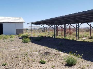 MED-MED-231_2 · Alquilo Galpón Añelo 80 m² C/predio 10000 m²