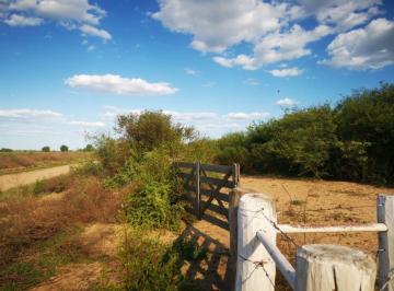 Campo , Fernández · Venta/campo Ganadero/ Fernández