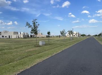 Terreno · 1075m² · Terreno en Vida Club de Campo