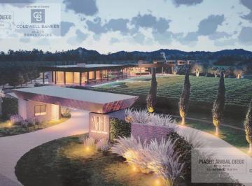 Campo · 55000m² · Wine Living Concept – Desarrollo Estratégico Sobre 5,5 Hectáreas de Viñedo