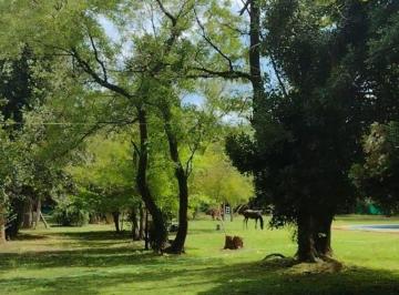 Terreno , General Rodríguez · Venta de Lotes en Rodríguez - Anticipo U$s 6.000 – Cuotas U$s 190 - Financiación en Pesos o Dólares