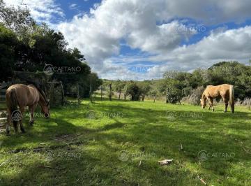 Foto1 · Venta Chacra Minas, Lavalleja