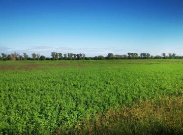 Campo , Loreto · Venta/campo/loreto