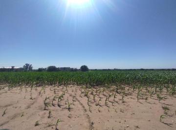 Campo · 290000m² · 1 Ambiente · Vendo Campo 29 Ha