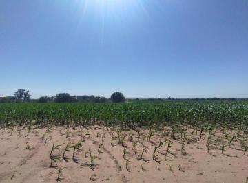 Campo · 300000m² · 1 Ambiente · Vendo Campo 30 Ha