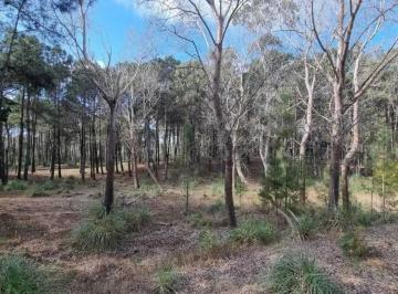 Terreno · 1047m² · Terreno en Venta - 1047 m² - Villa Robles, Pinamar