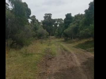 Terreno , Miramar · Lote de Terreno/ Dueño Directo