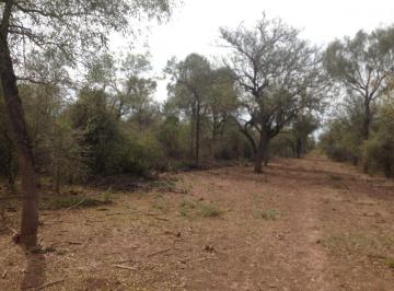 Campo , La Banda · Venta/campo/urutau, Santiago del Estero