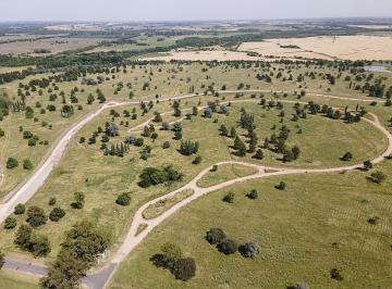Terreno · 1001m² · Km 185 Autovia 6