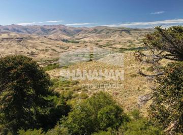 Campo · 22030000ha · Campo en Aluminé Costa Río Kilka - Neuquén