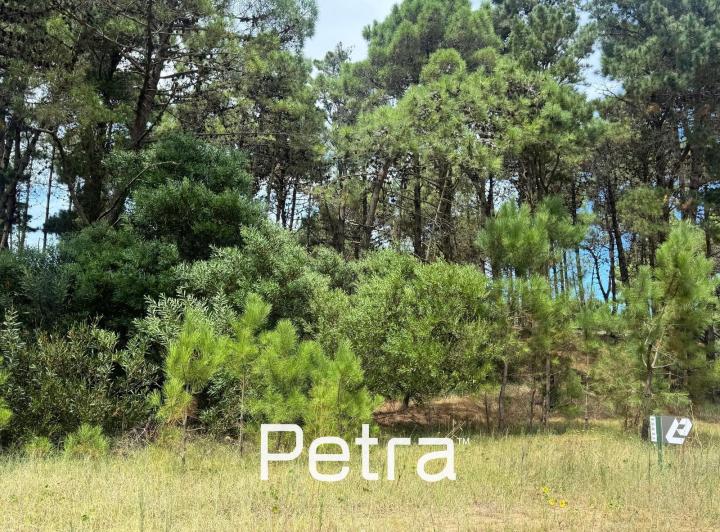 Terreno · 1263m²