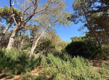 Terreno , Costa del Este · Lote La Reserva Almarena