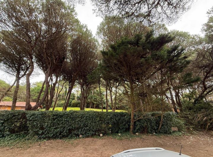 Terreno · 800m²