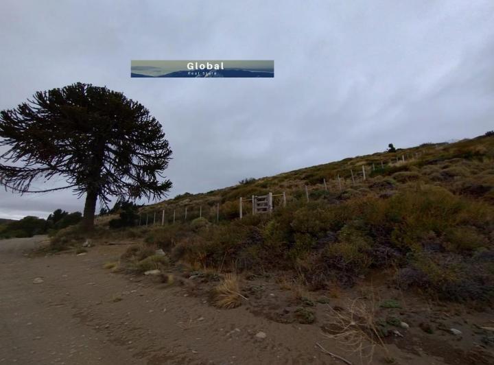 Terreno · 3608m²