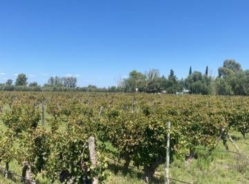 Campo · 400000ha · Finca en Monte Caseros
