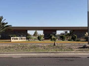 Terreno · 300m² · Hauser Vender Excelente Terreno en Barrio Vista Oliva!